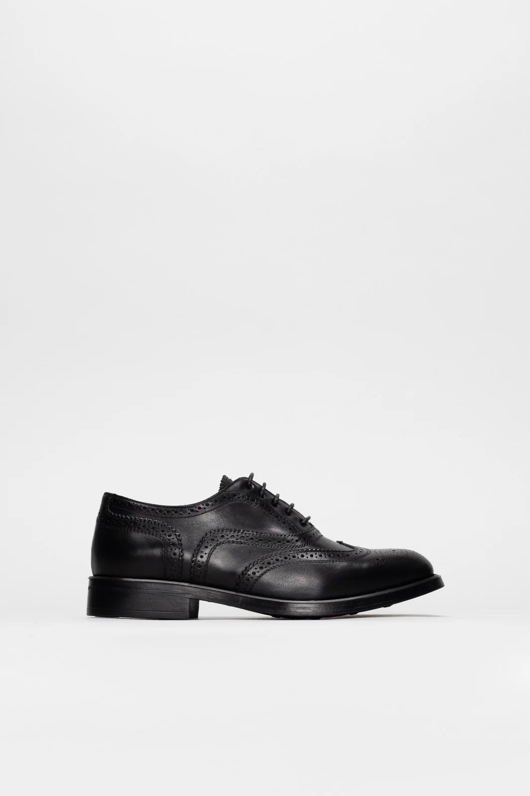 Fall / Winter - New Arrivals